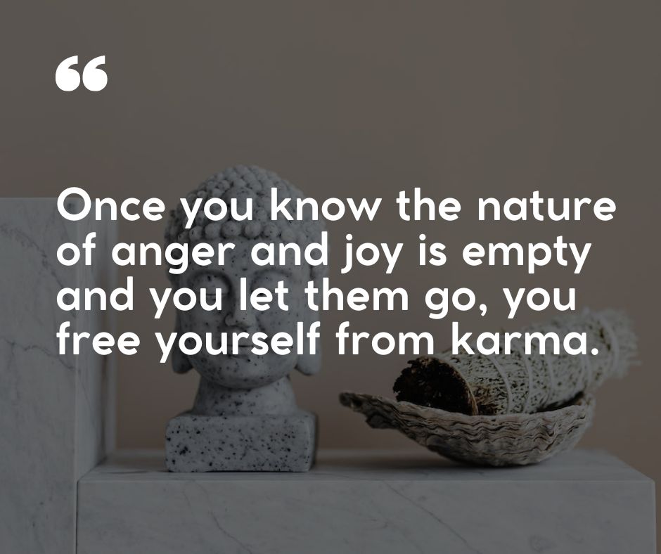 “Once you know the nature of anger and joy is empty and you let them go, you free yourself from karma.”