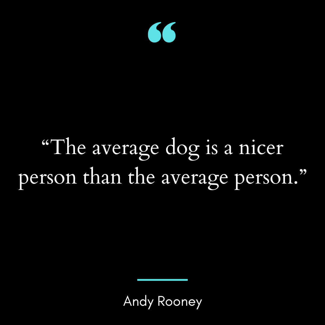 “The average dog is a nicer person than the average person.”