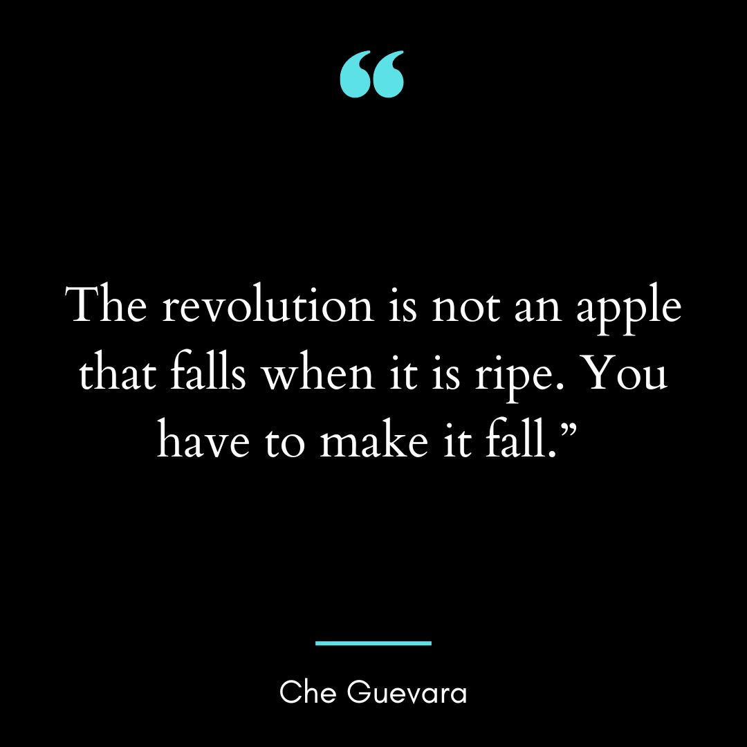 “The revolution is not an apple that falls when it is ripe. You have to make it fall.”