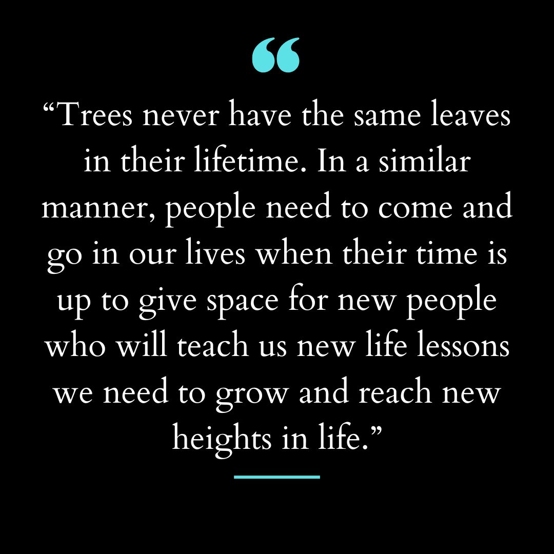 “Trees never have the same leaves in their lifetime. In a similar manner,