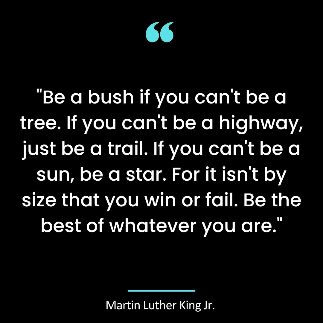 “Be a bush if you can’t be a tree. If you can’t be a highway, just be a trail.