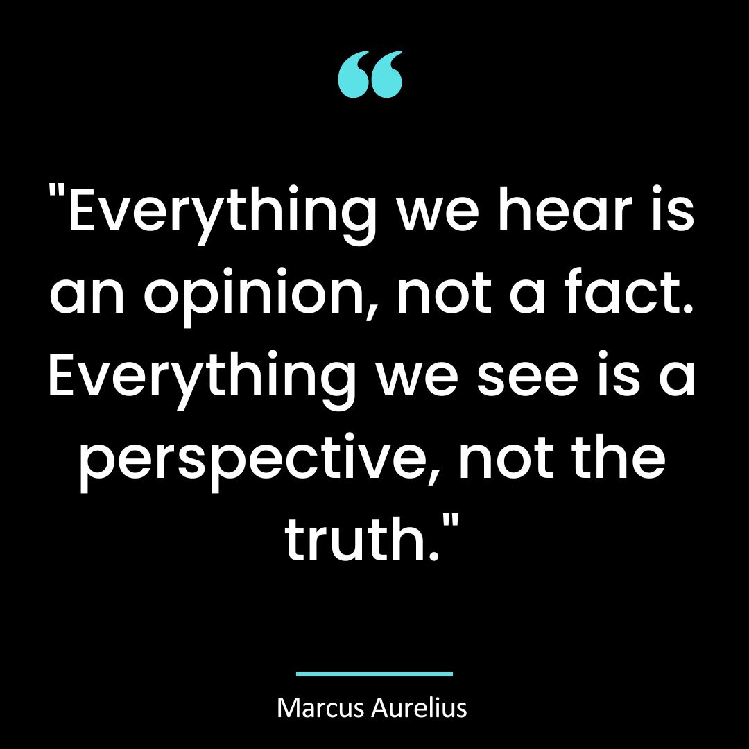 “Everything we hear is an opinion, not a fact. Everything we see is a perspective