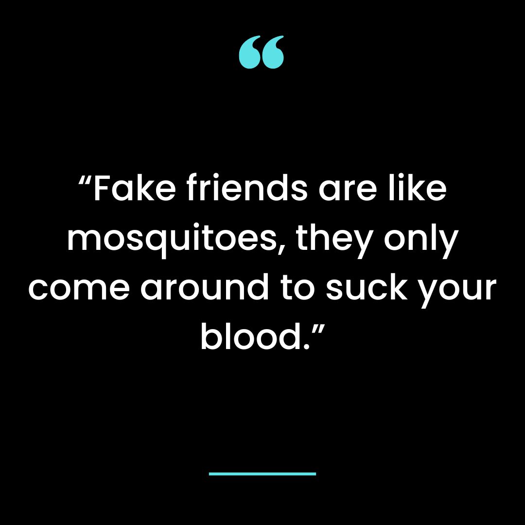“Fake friends are like mosquitoes, they only come around to suck your blood.”