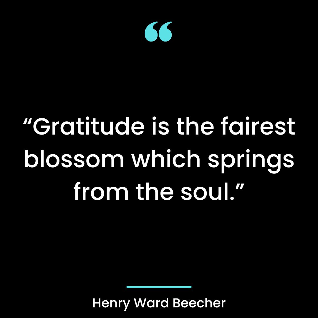 “Gratitude is the fairest blossom which springs from the soul.”