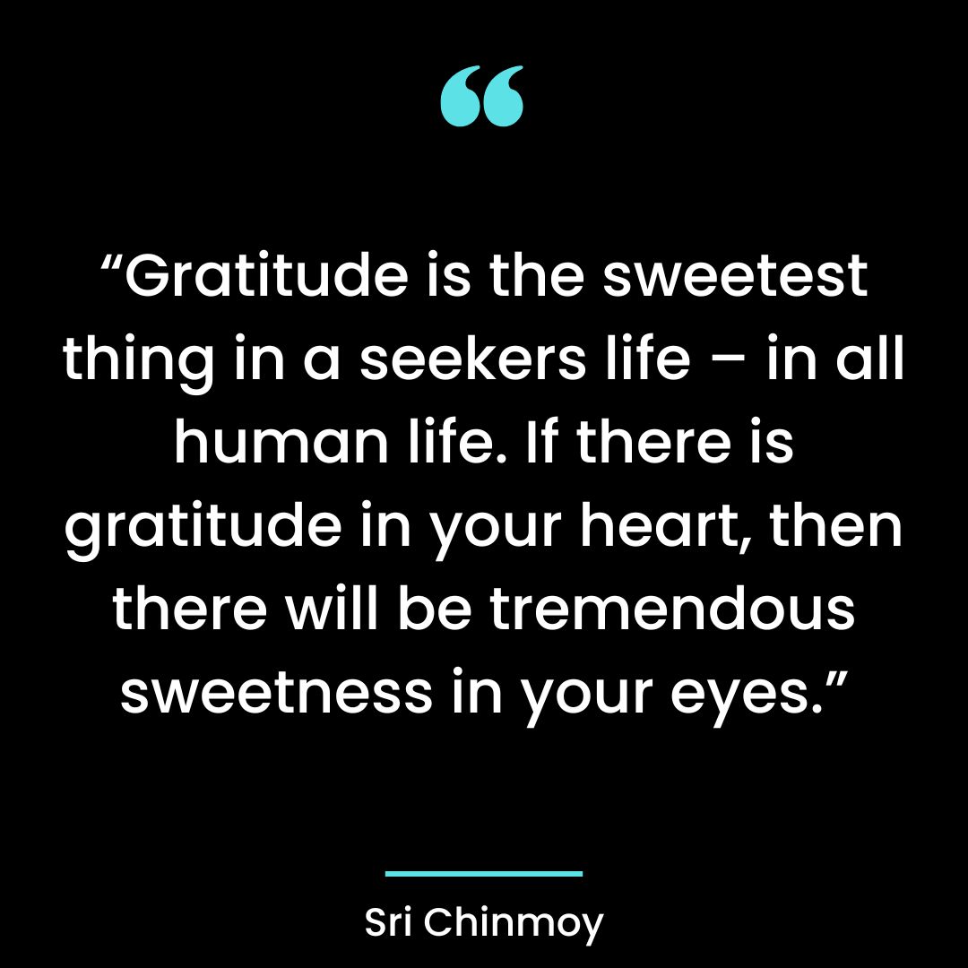 “Gratitude is the sweetest thing in a seekers life – in all human life. If there is gratitude