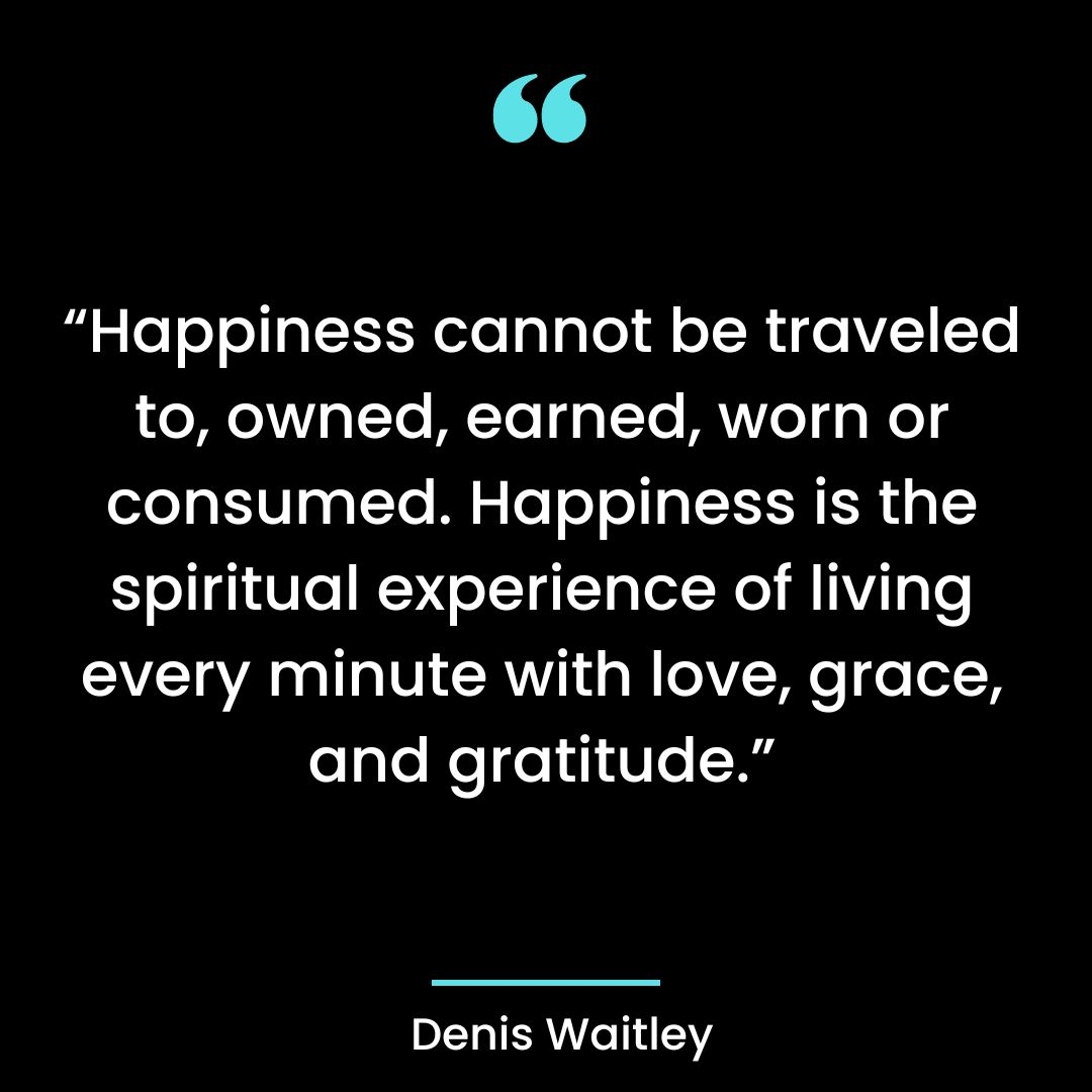 “Happiness cannot be traveled to, owned, earned, worn or consumed. Happiness is