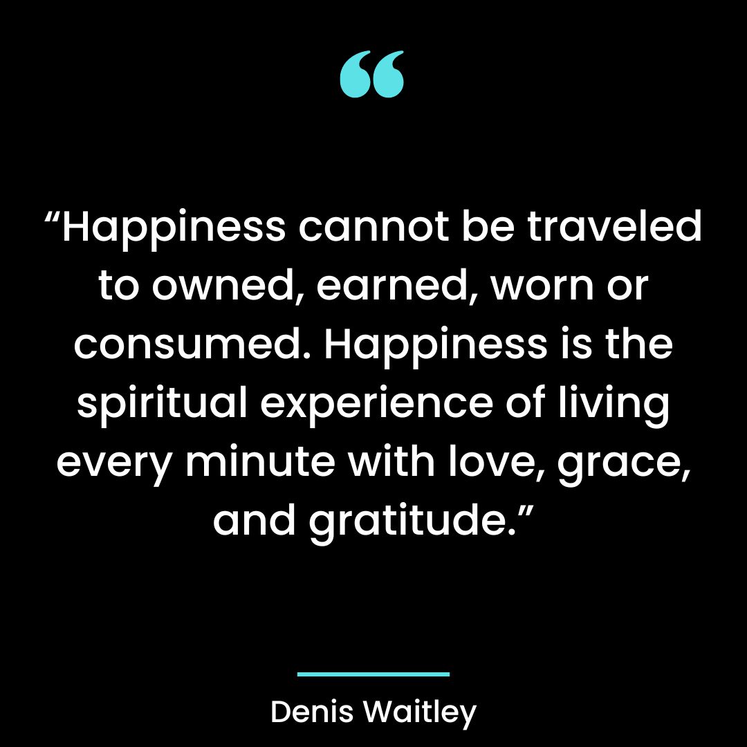 “Happiness cannot be traveled to owned, earned, worn or consumed. Happiness is the