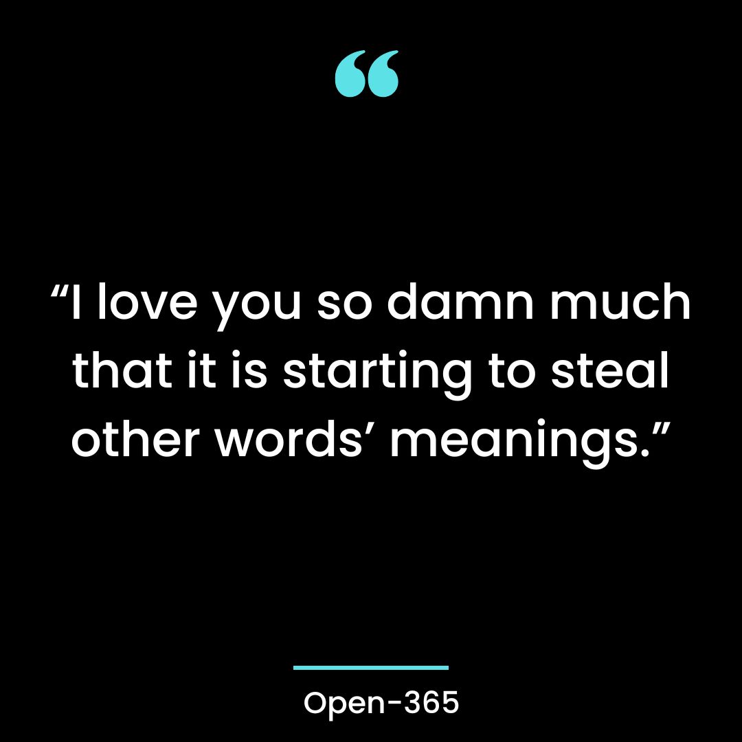 “I love you so damn much that it is starting to steal other words’ meanings.