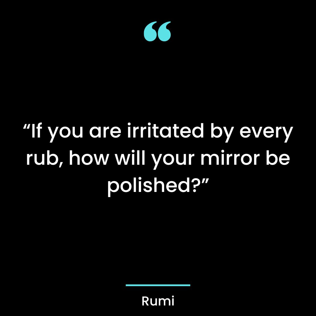 “If you are irritated by every rub, how will your mirror be polished?”