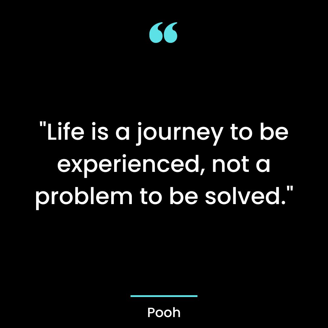 “Life is a journey to be experienced, not a problem to be solved.”