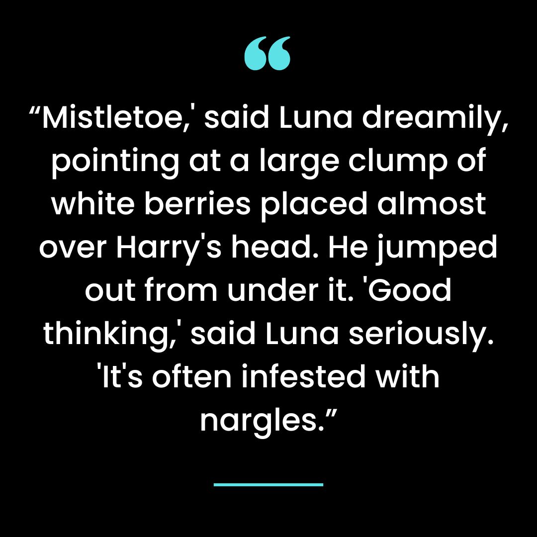 “Mistletoe,’ said Luna dreamily, pointing at a large clump of white berries placed