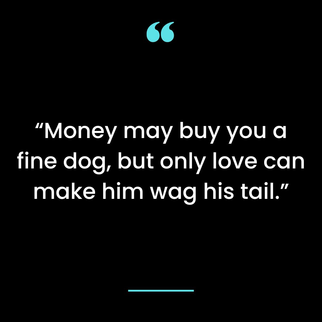 “Money may buy you a fine dog, but only love can make him wag his tail.”