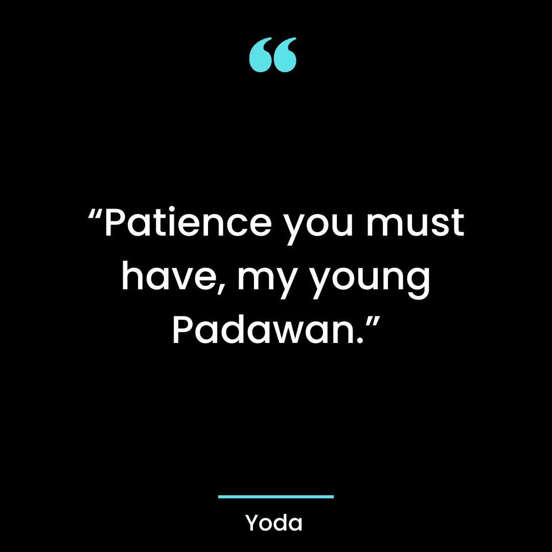 “Patience you must have, my young Padawan.”