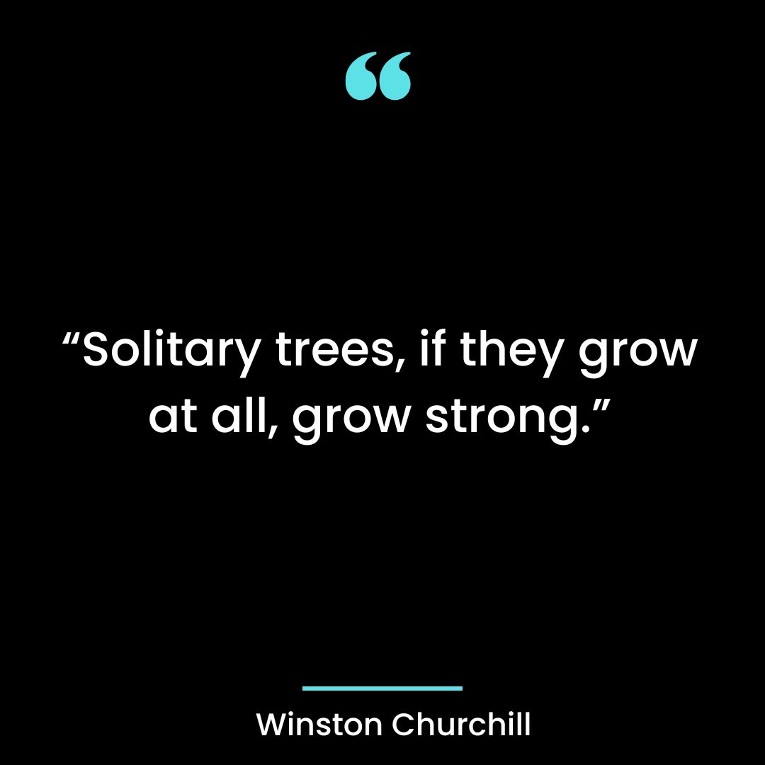 “Solitary trees, if they grow at all, grow strong.”