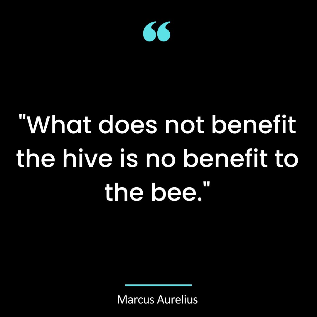 “What does not benefit the hive is no benefit to the bee.”