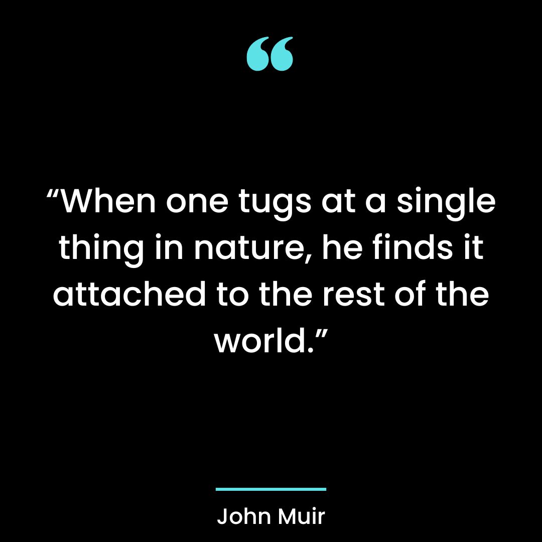 “When one tugs at a single thing in nature, he finds it attached to the rest of the world.