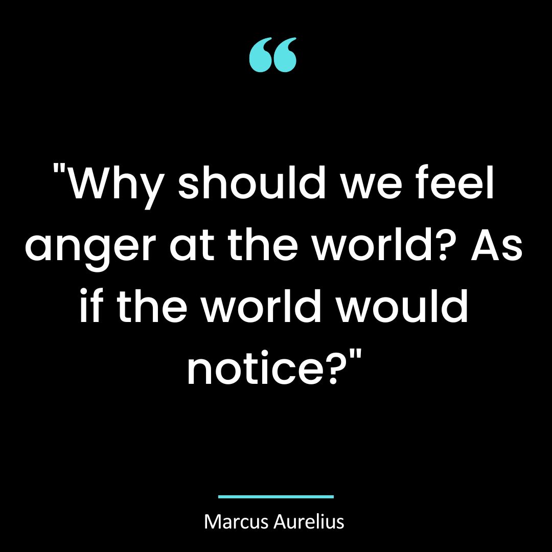 “Why should we feel anger at the world? As if the world would notice?”