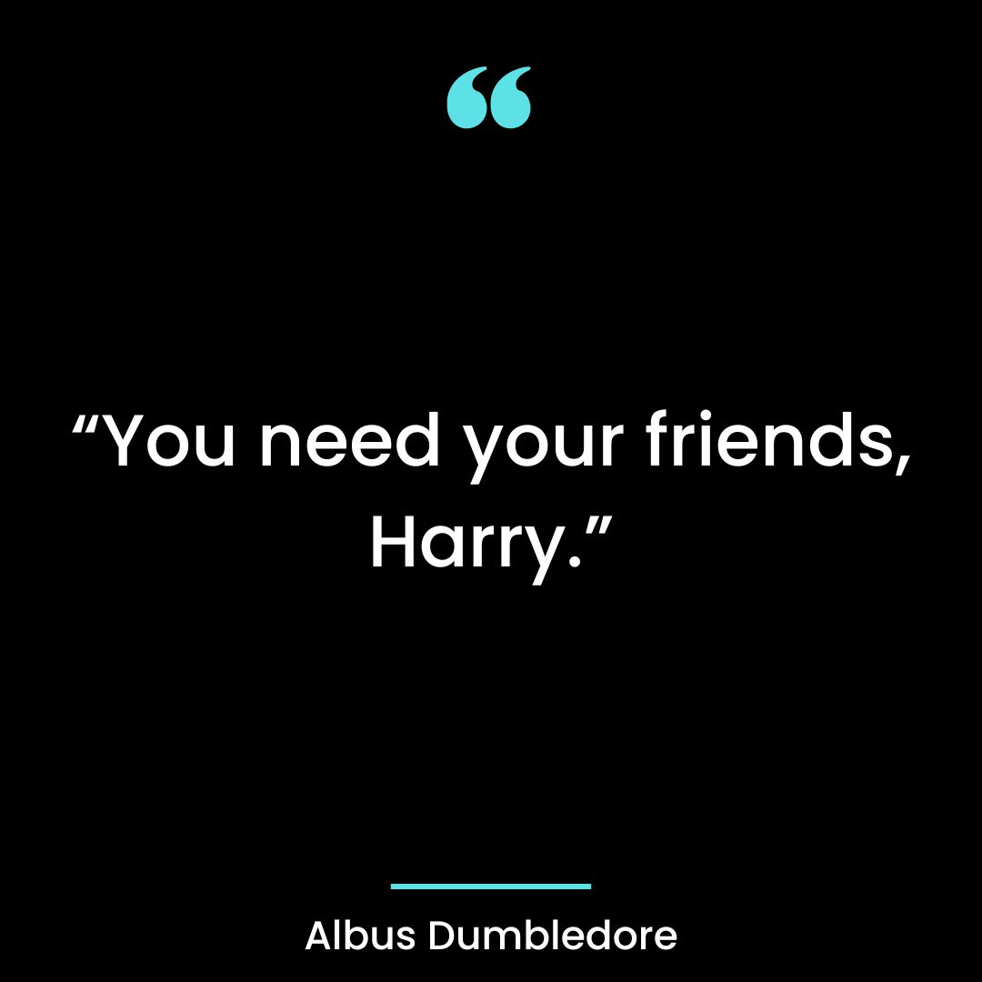 “You need your friends, Harry.”