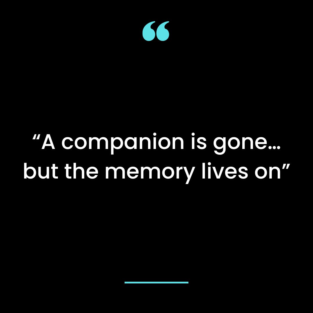 “A companion is gone… but the memory lives on”