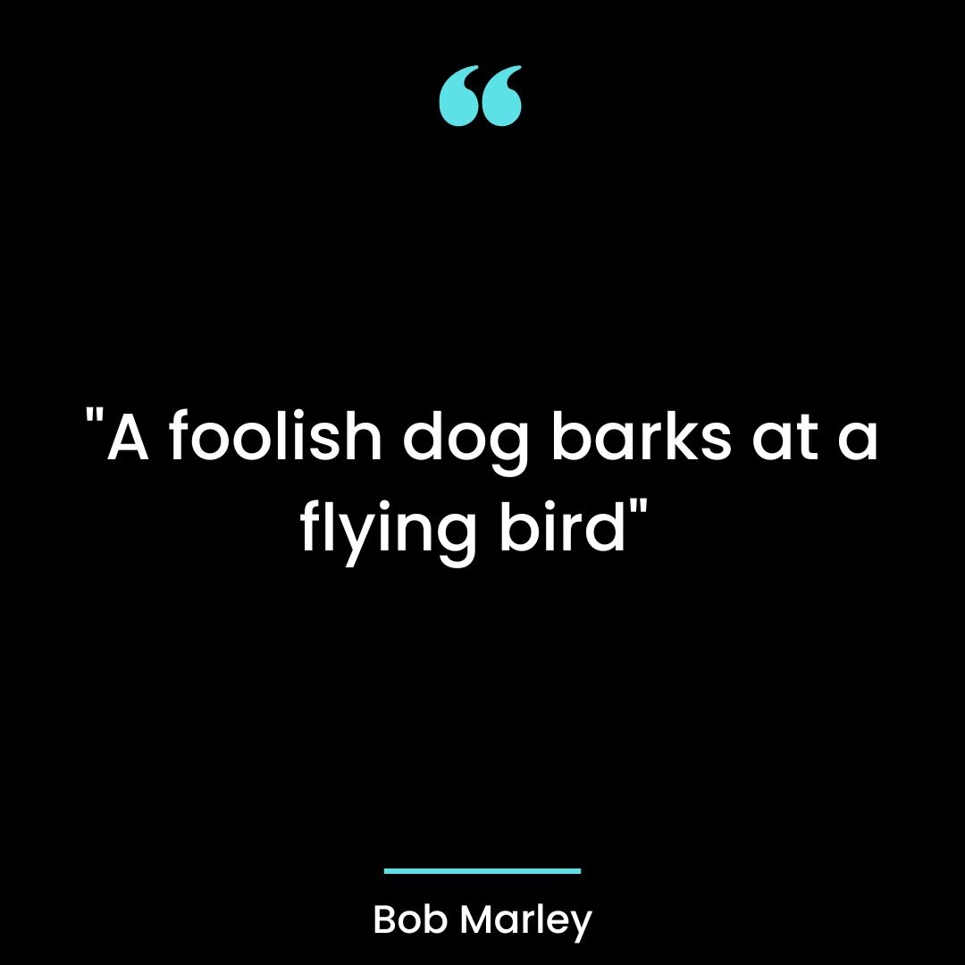 “A foolish dog barks at a flying bird”
