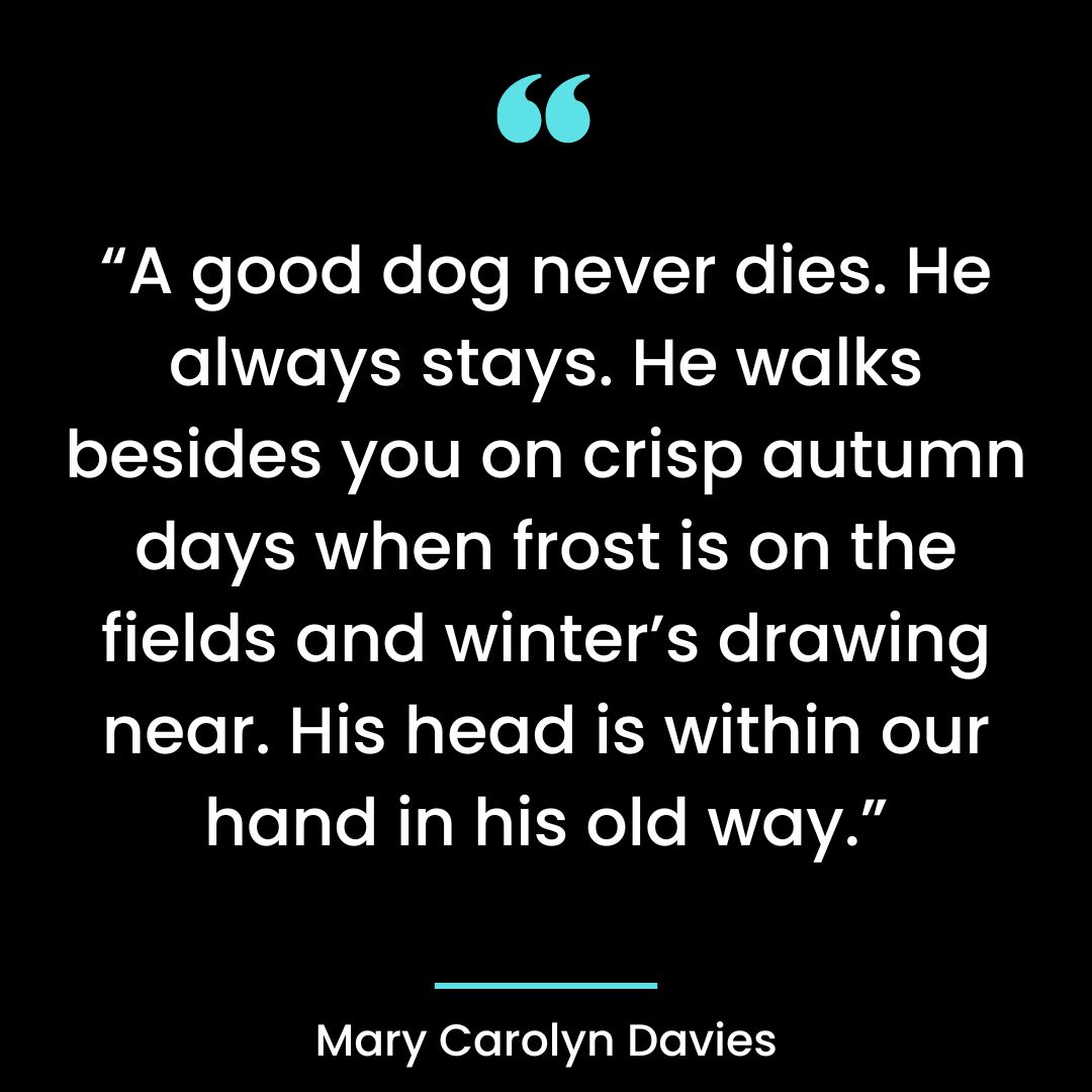 “A good dog never dies. He always stays. He walks besides you on crisp autumn