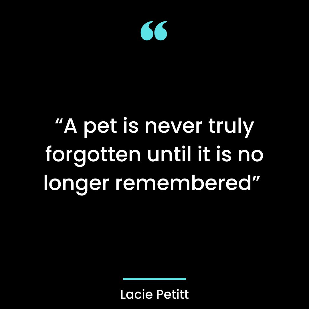 “A pet is never truly forgotten until it is no longer remembered”