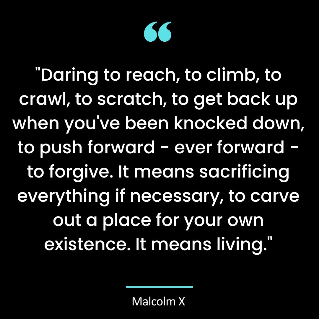 “Daring to reach, to climb, to crawl, to scratch, to get back up when you’ve been knocked