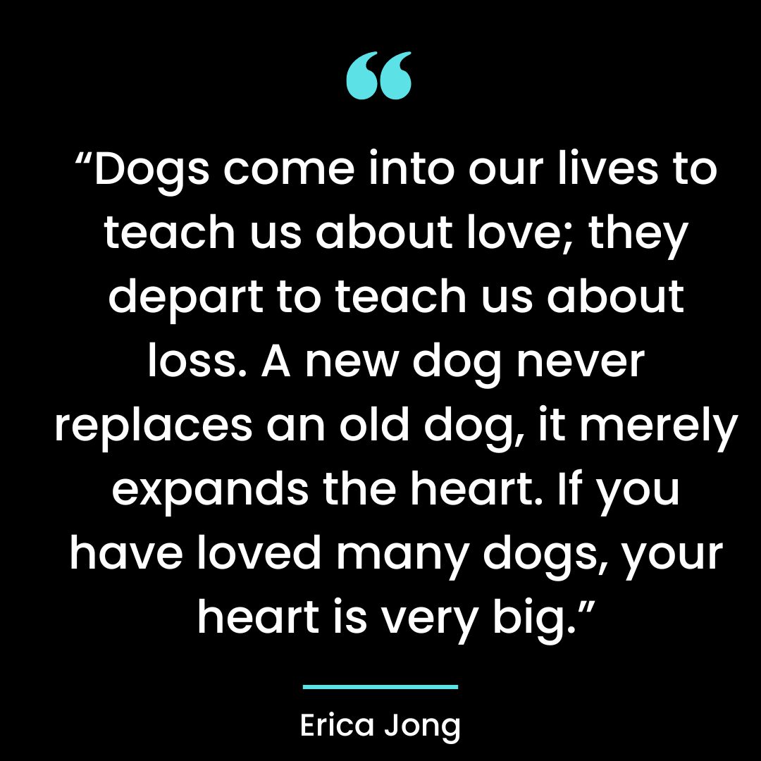 “Dogs come into our lives to teach us about love; they depart to teach us about loss. A new dog
