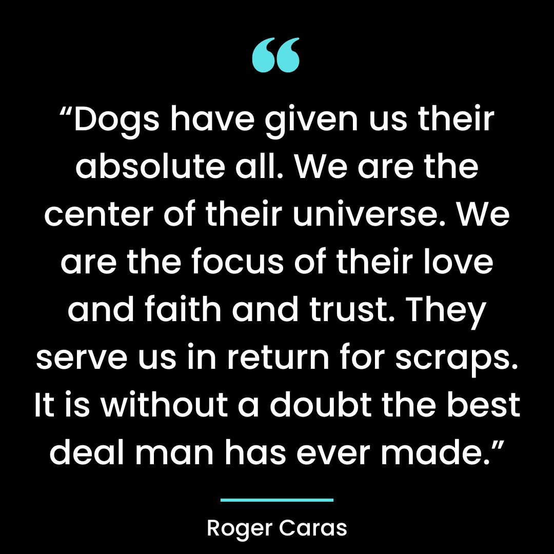 “Dogs have given us their absolute all. We are the center of their universe. We are the