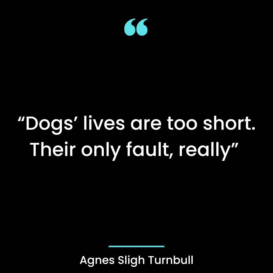 “Dogs’ lives are too short. Their only fault, really”