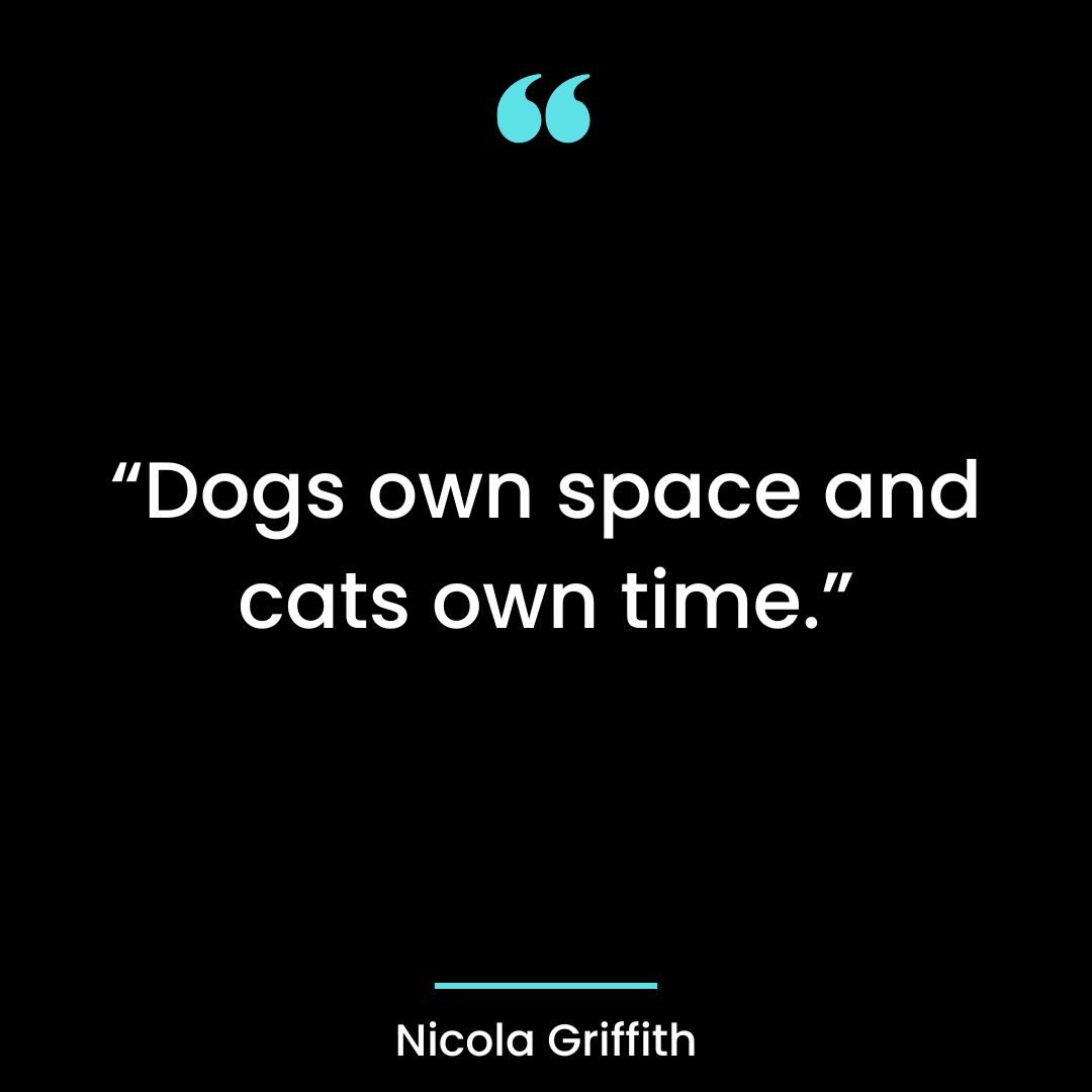 “Dogs own space and cats own time.”