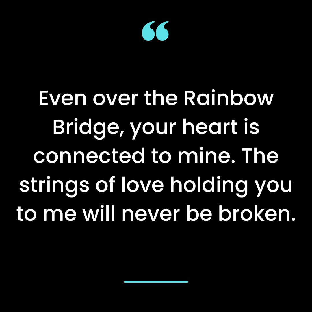 Even over the Rainbow Bridge, your heart is connected to mine. The strings of love holding