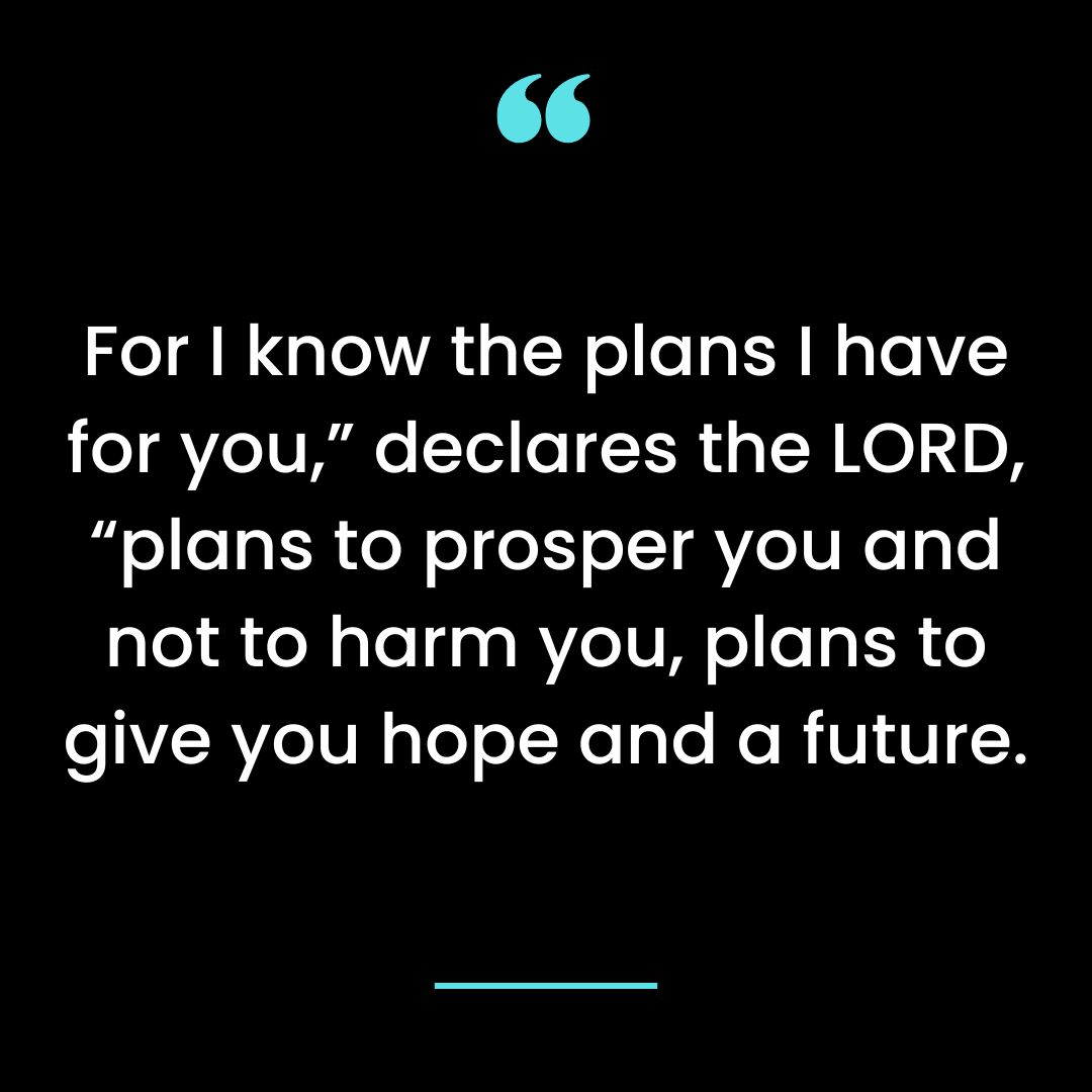 For I know the plans I have for you,” declares the LORD, “plans to prosper you and not to
