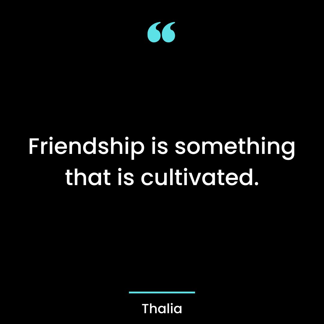 Friendship is something that is cultivated.