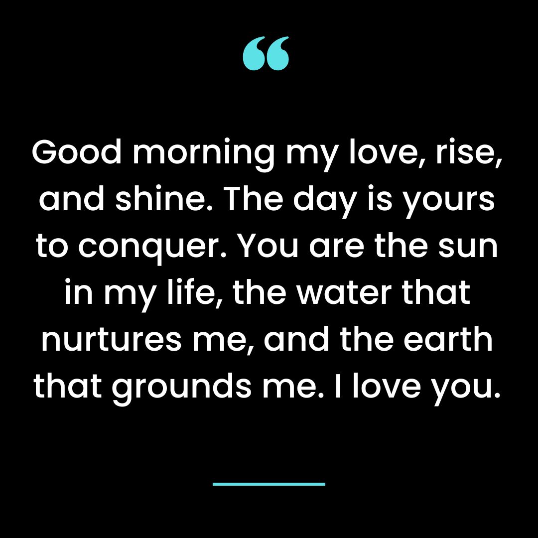 Good morning my love, rise, and shine. The day is yours to conquer. You are the sun in my life,