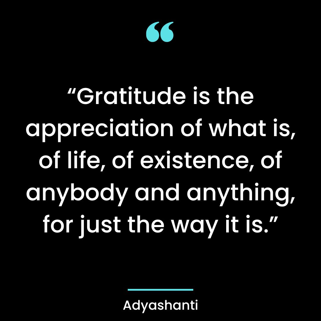“Gratitude is the appreciation of what is, of life, of existence, of anybody and anything