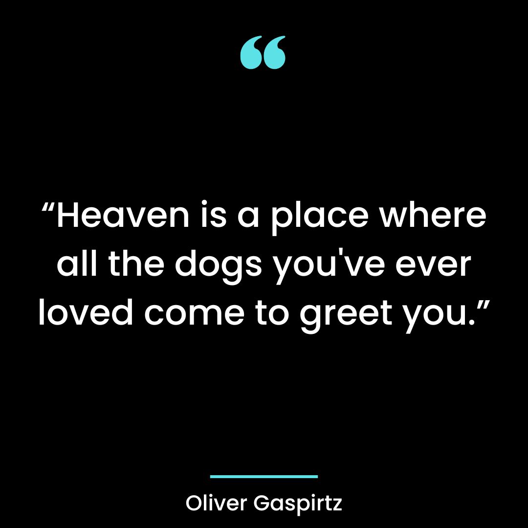 “Heaven is a place where all the dogs you’ve ever loved come to greet you.”