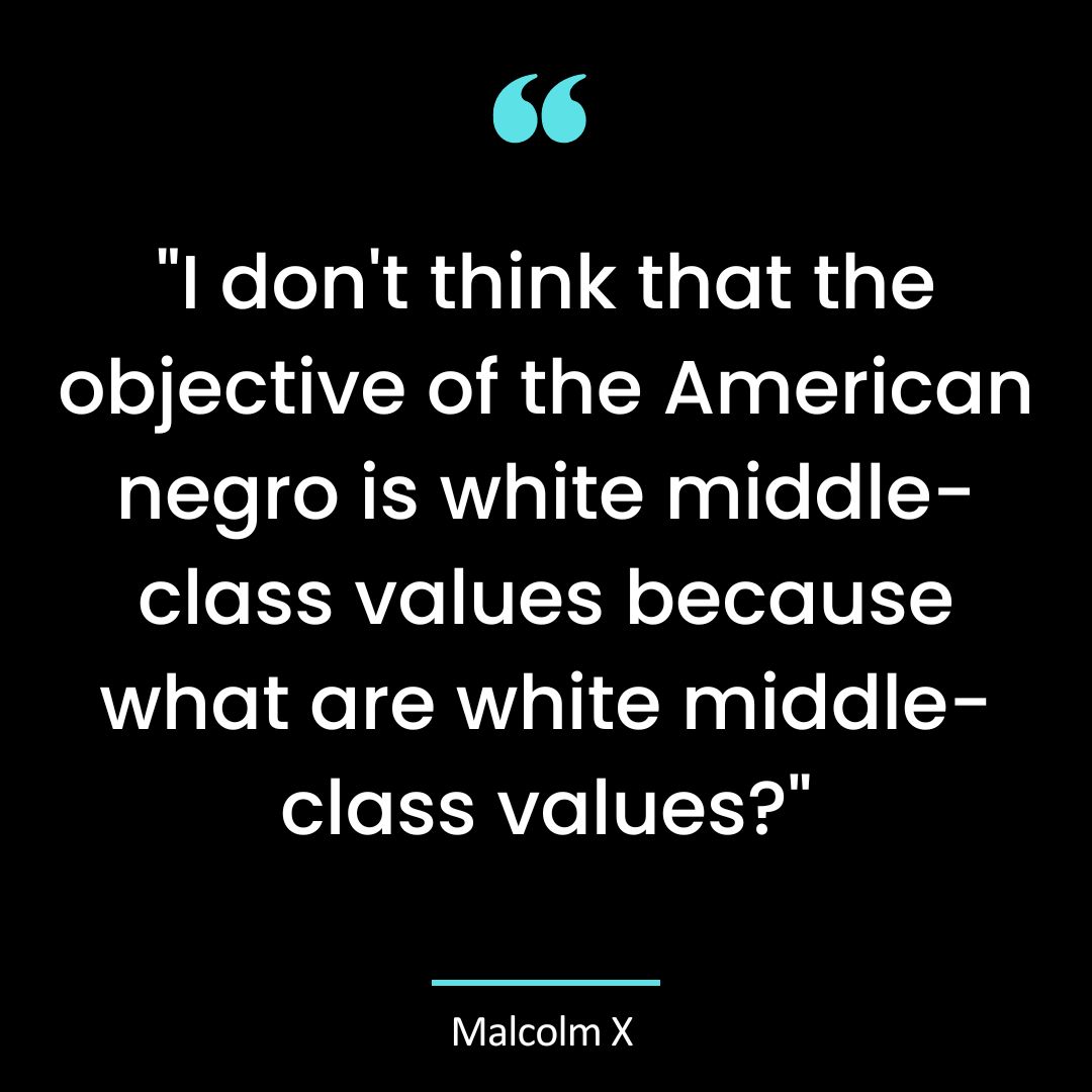 “I don’t think that the objective of the American negro is white middle-class values