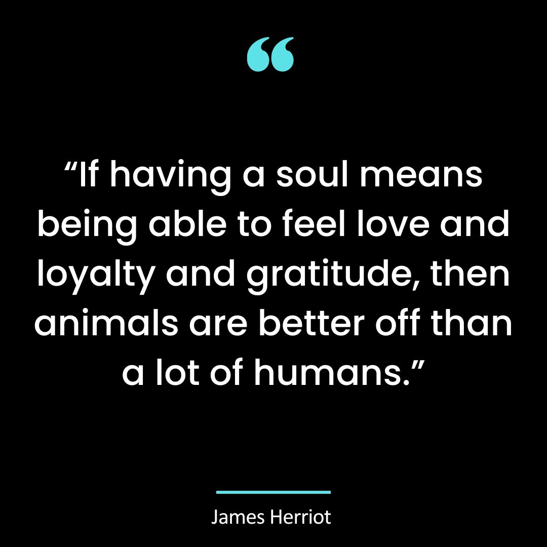 “If having a soul means being able to feel love and loyalty and gratitude, then