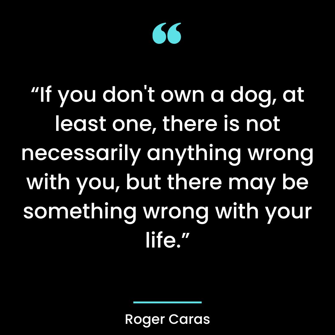 “If you don’t own a dog, at least one, there is not necessarily anything wrong with you,