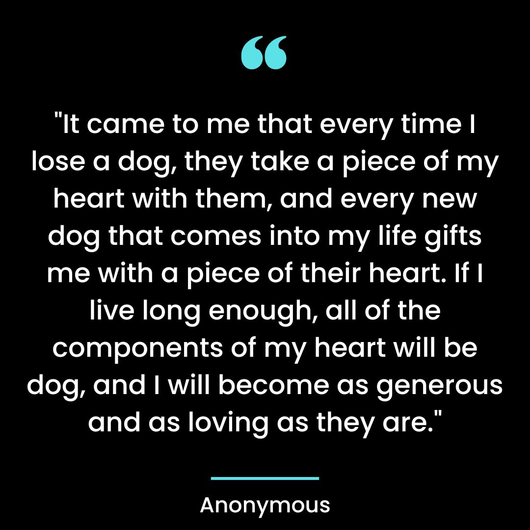 “It came to me that every time I lose a dog, they take a piece of my heart with them
