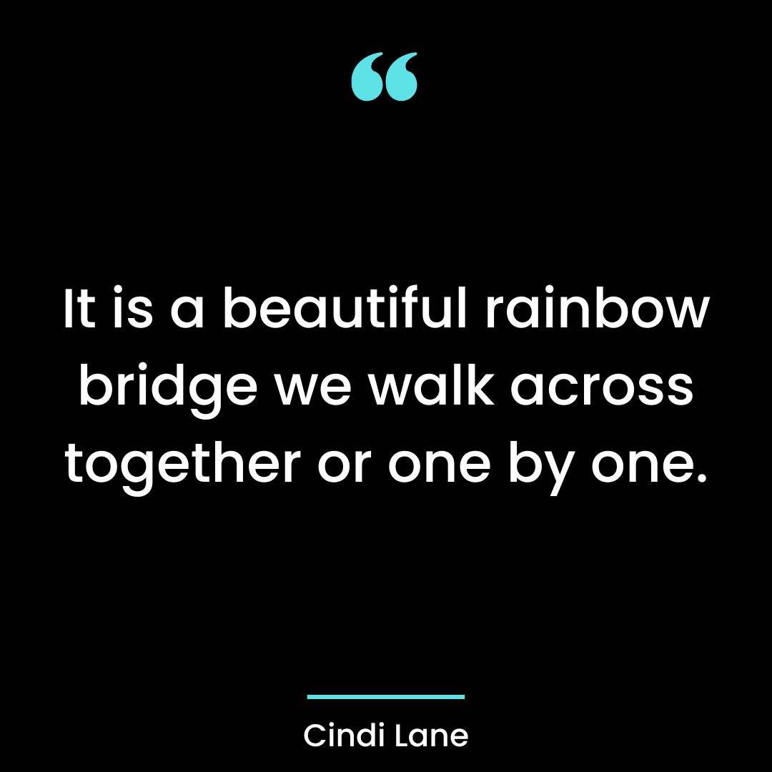 It is a beautiful rainbow bridge we walk across together or one by one.