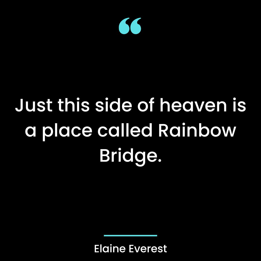 Just this side of heaven is a place called Rainbow Bridge