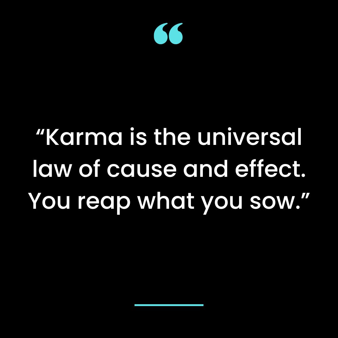 Karma is the universal law of cause and effect. You reap what you sow.