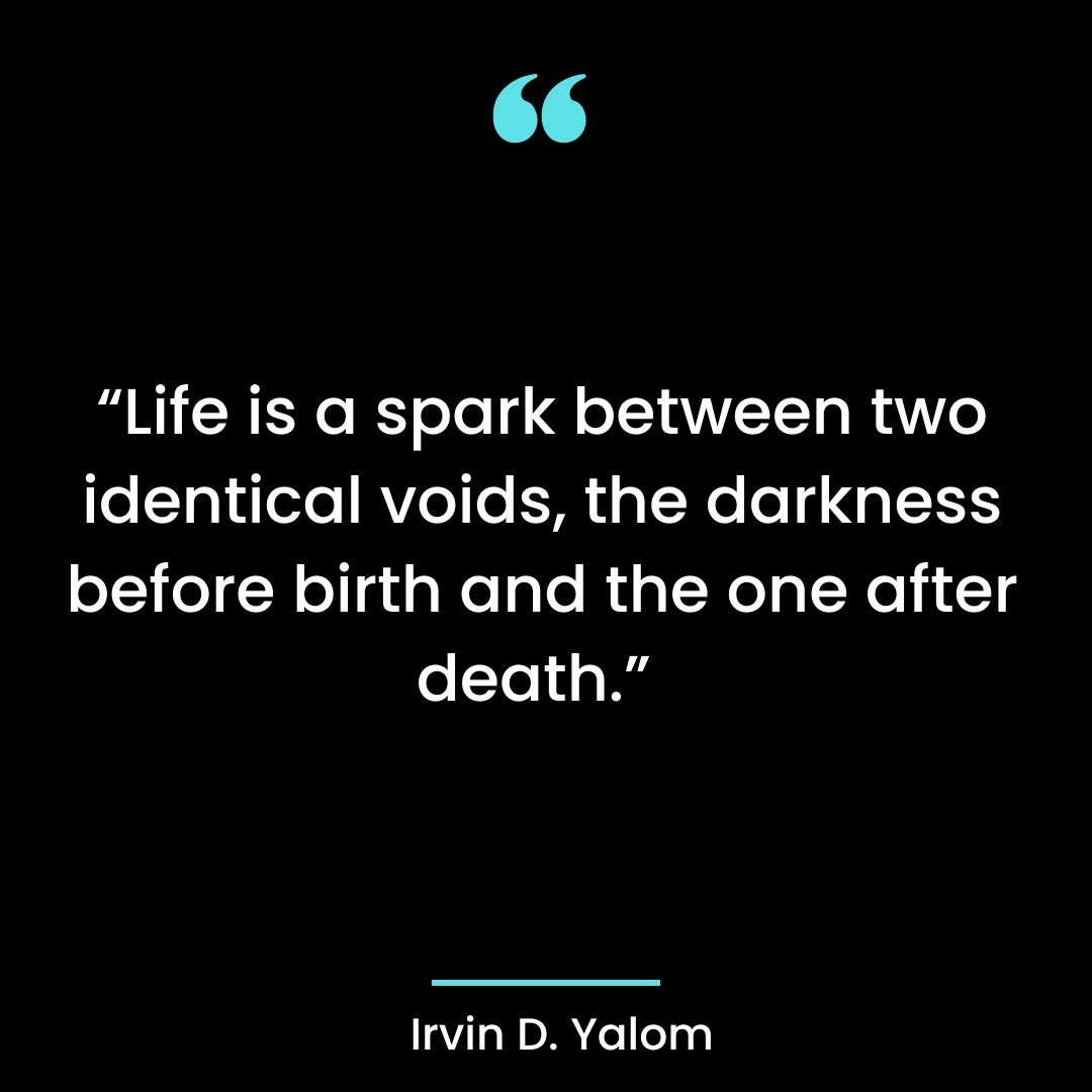 “Life is a spark between two identical voids, the darkness before birth and the one after death.”