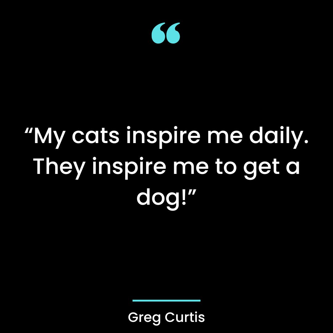 “My cats inspire me daily. They inspire me to get a dog!”