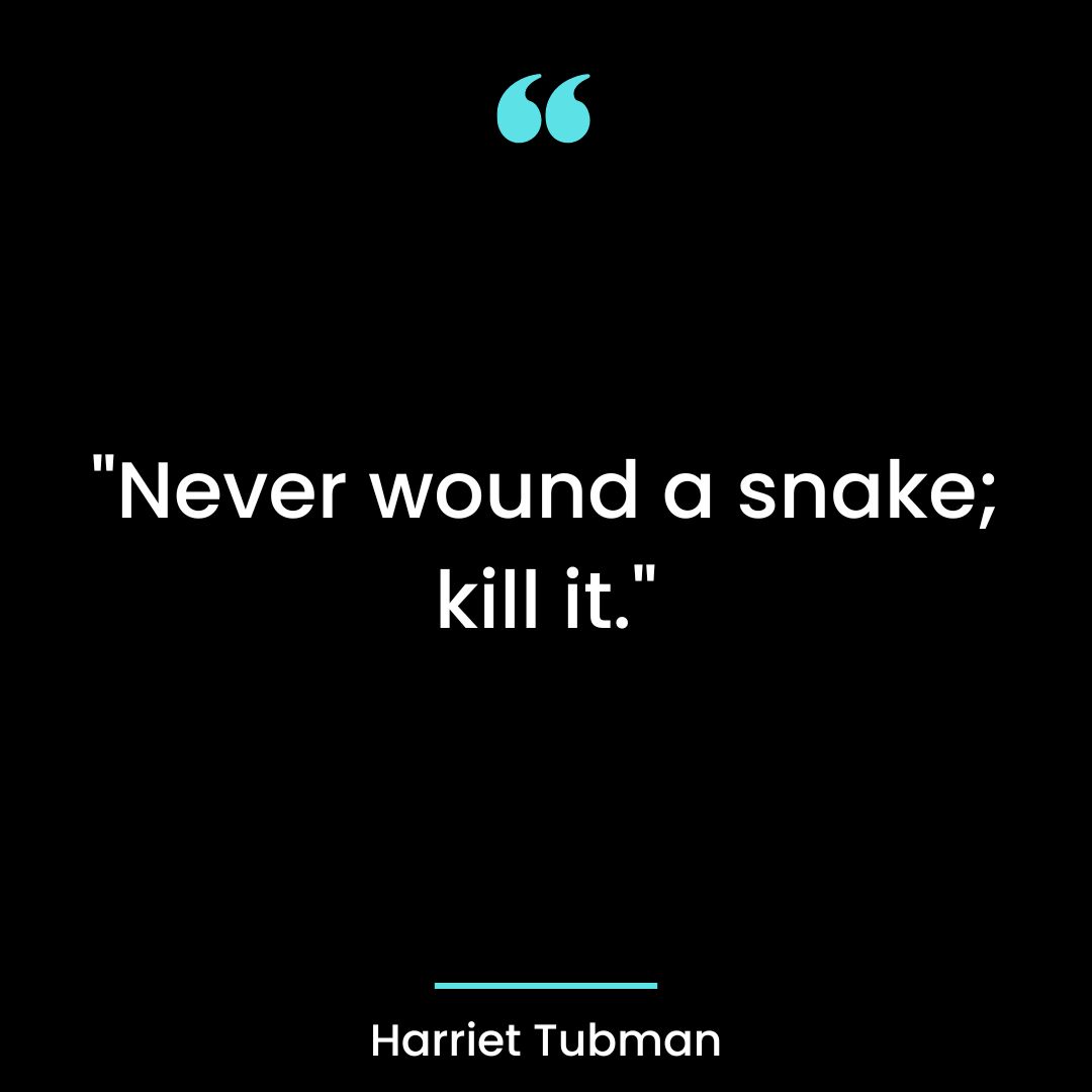 “Never wound a snake; kill it.”