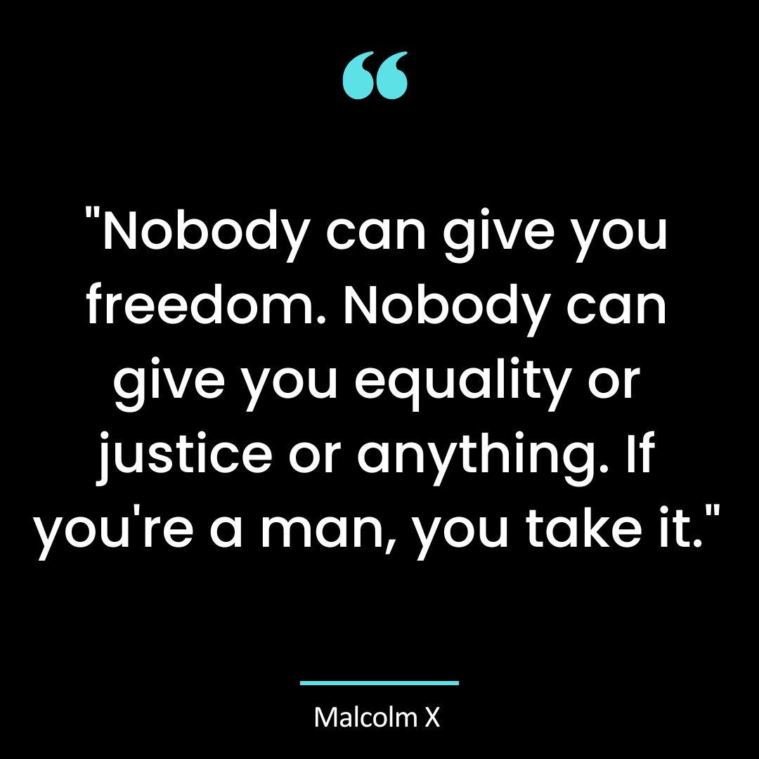 “Nobody can give you freedom. Nobody can give you equality or justice or anything.