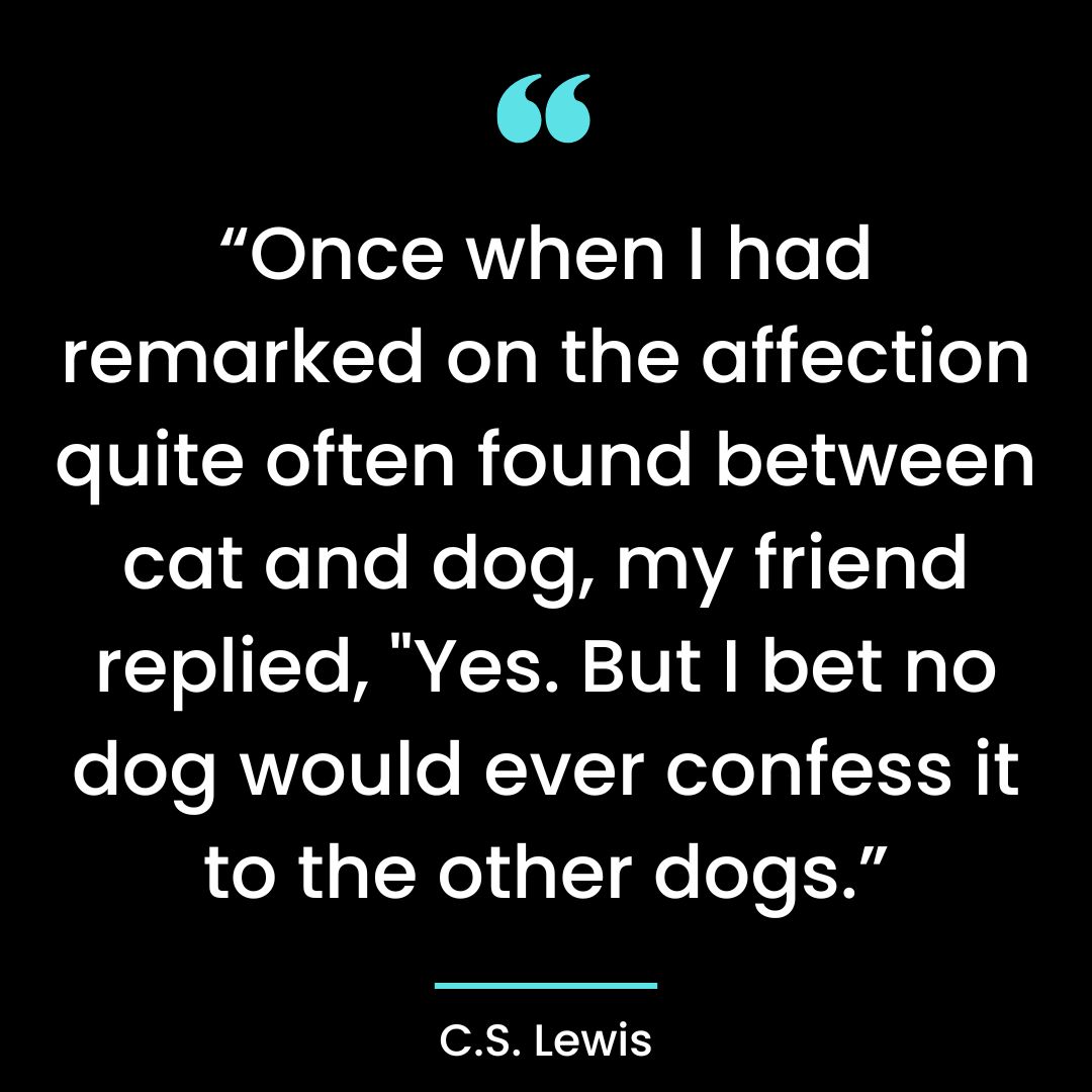 “Once when I had remarked on the affection quite often found between cat and dog,
