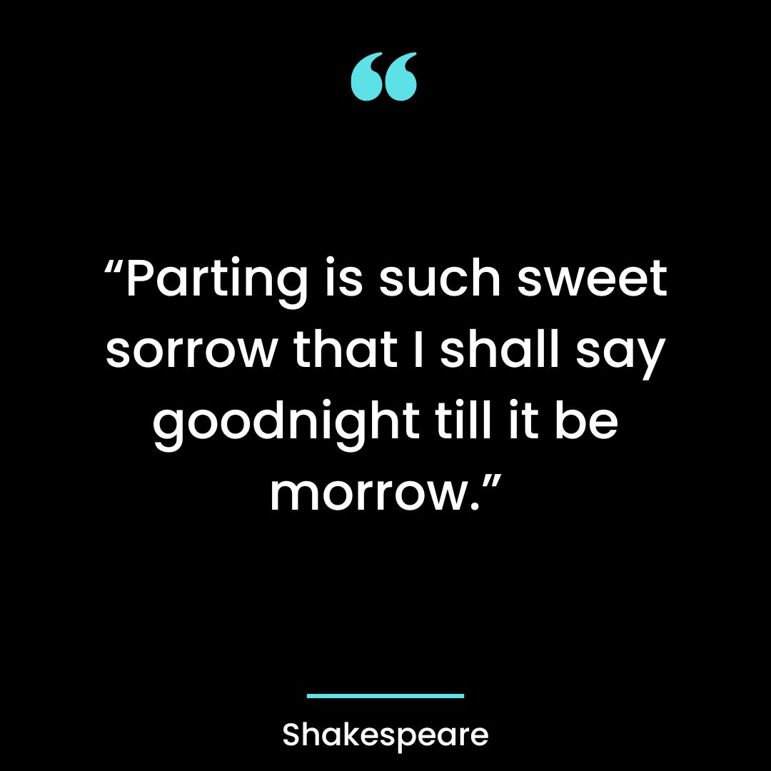 “Parting is such sweet sorrow that I shall say goodnight till it be morrow.”